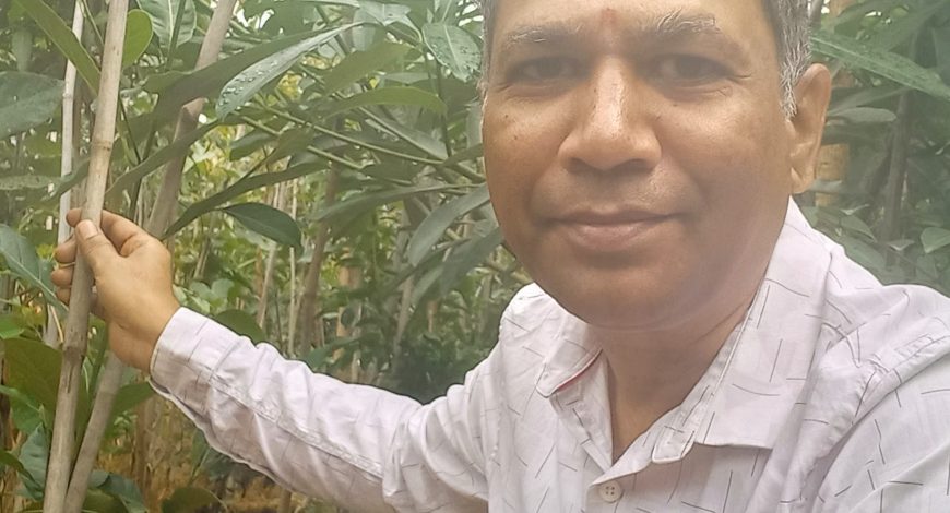 Bamboo Cultivation