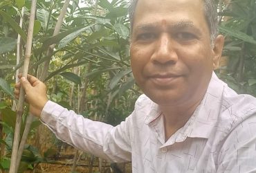 Bamboo Cultivation