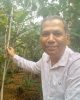 Bamboo Cultivation